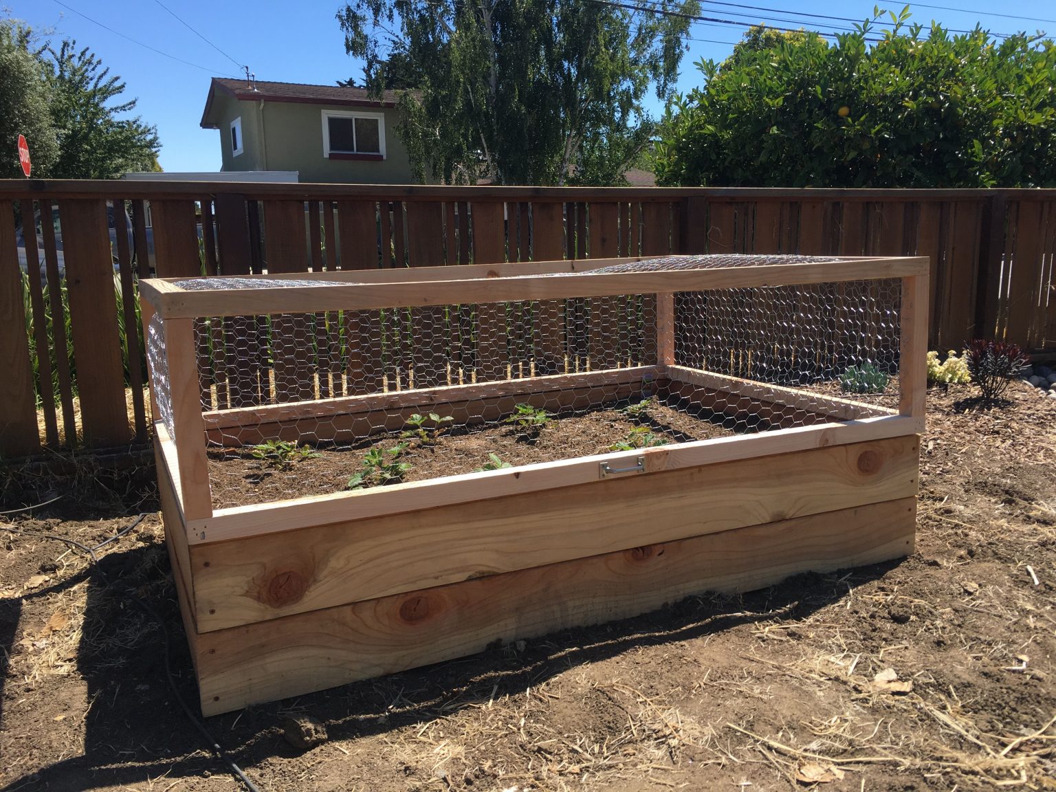 Building Your Own Raised Garden Bed with the KING BIRD Frame