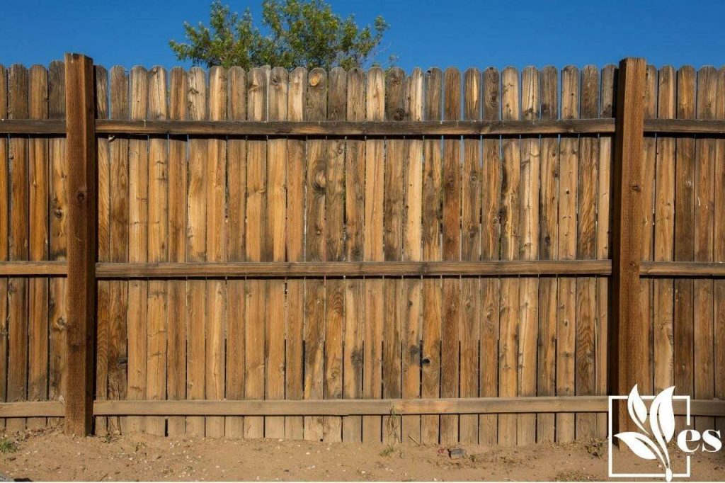 How to Cover an Unsightly Fence: 15 Creative Ways to Hide or Disguise ...