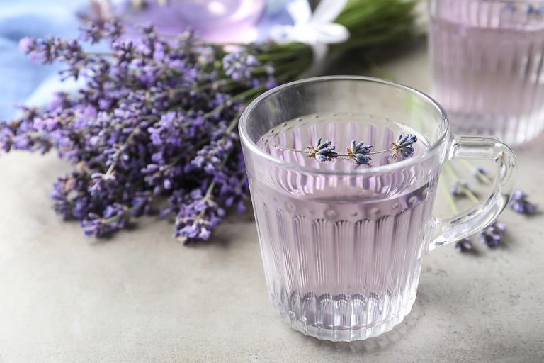 Should You Put Dried Lavender in Water?