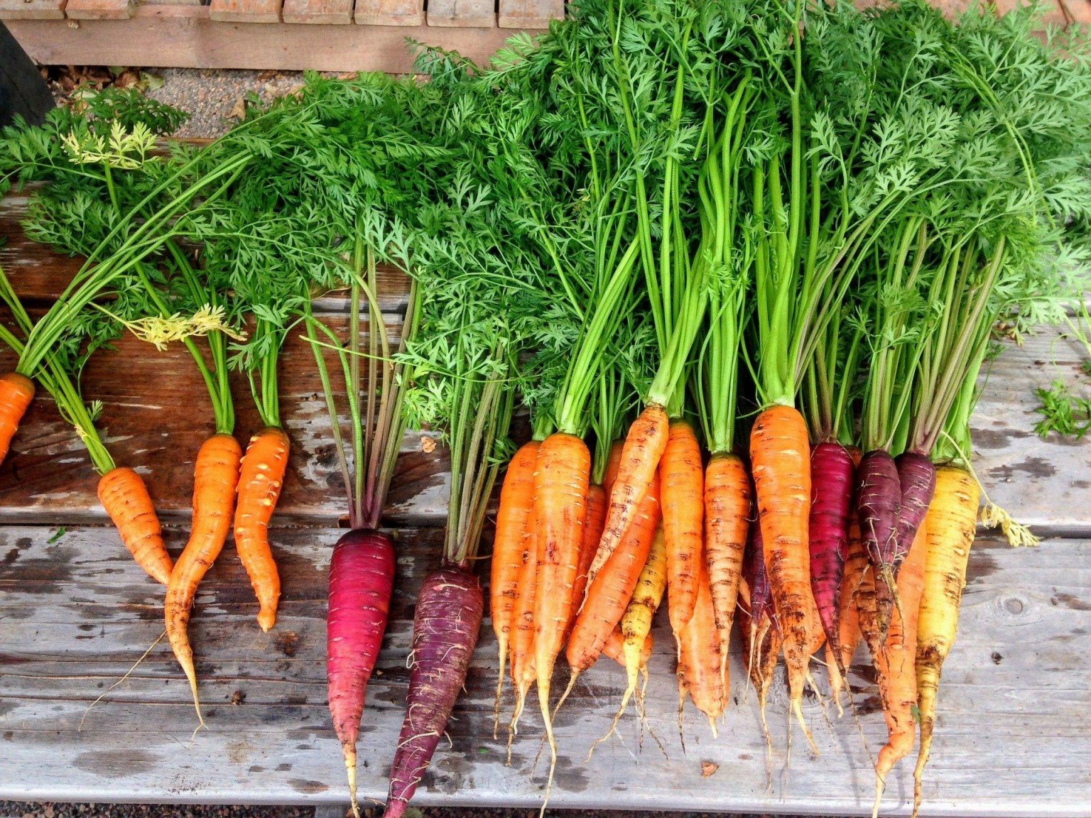 How to Thoroughly Clean Carrots Fresh From Your Garden