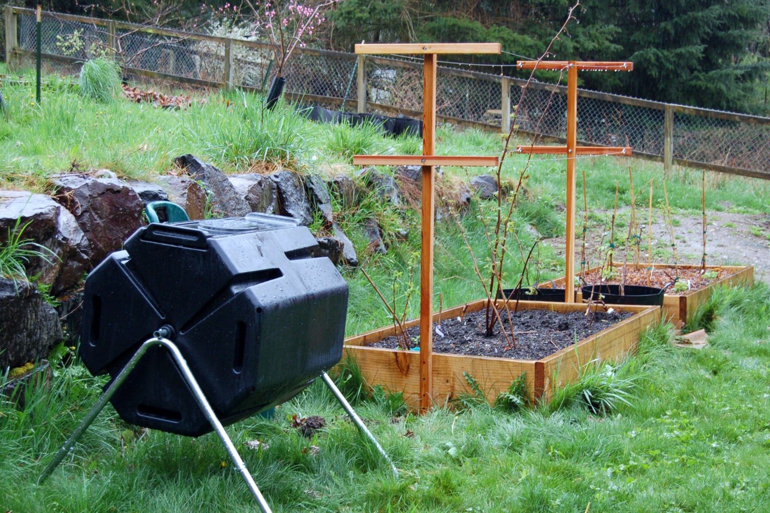 Cultivating Raspberries in Raised Beds - A Complete Growing Guide