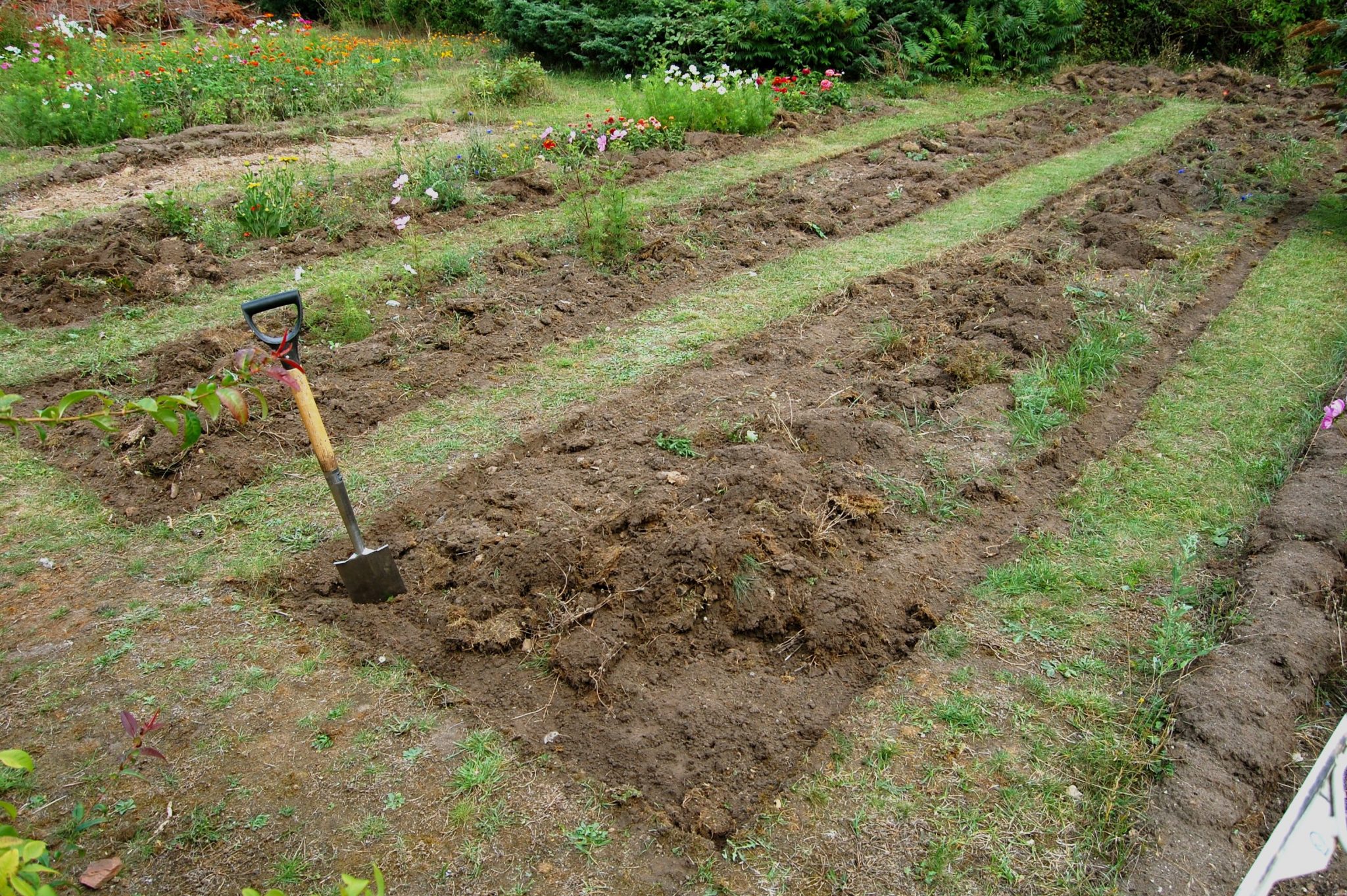 How to Prepare Garden Beds for Planting A StepbyStep Guide