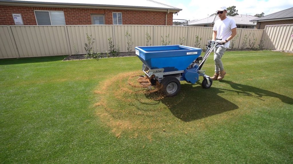 Should You Top Dress Your Lawn with Sand? A Complete Guide