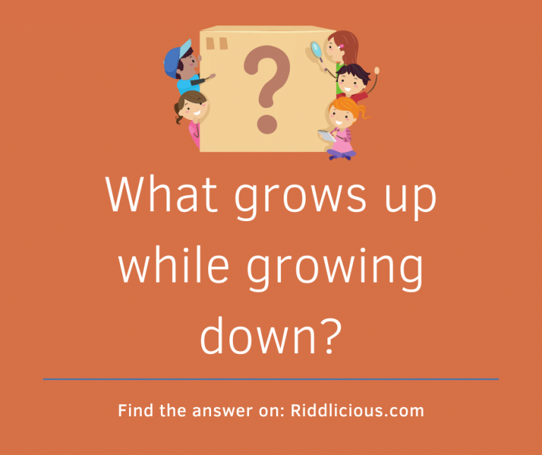 What Grows Up as It Grows Down? Exploring the Curious Riddle