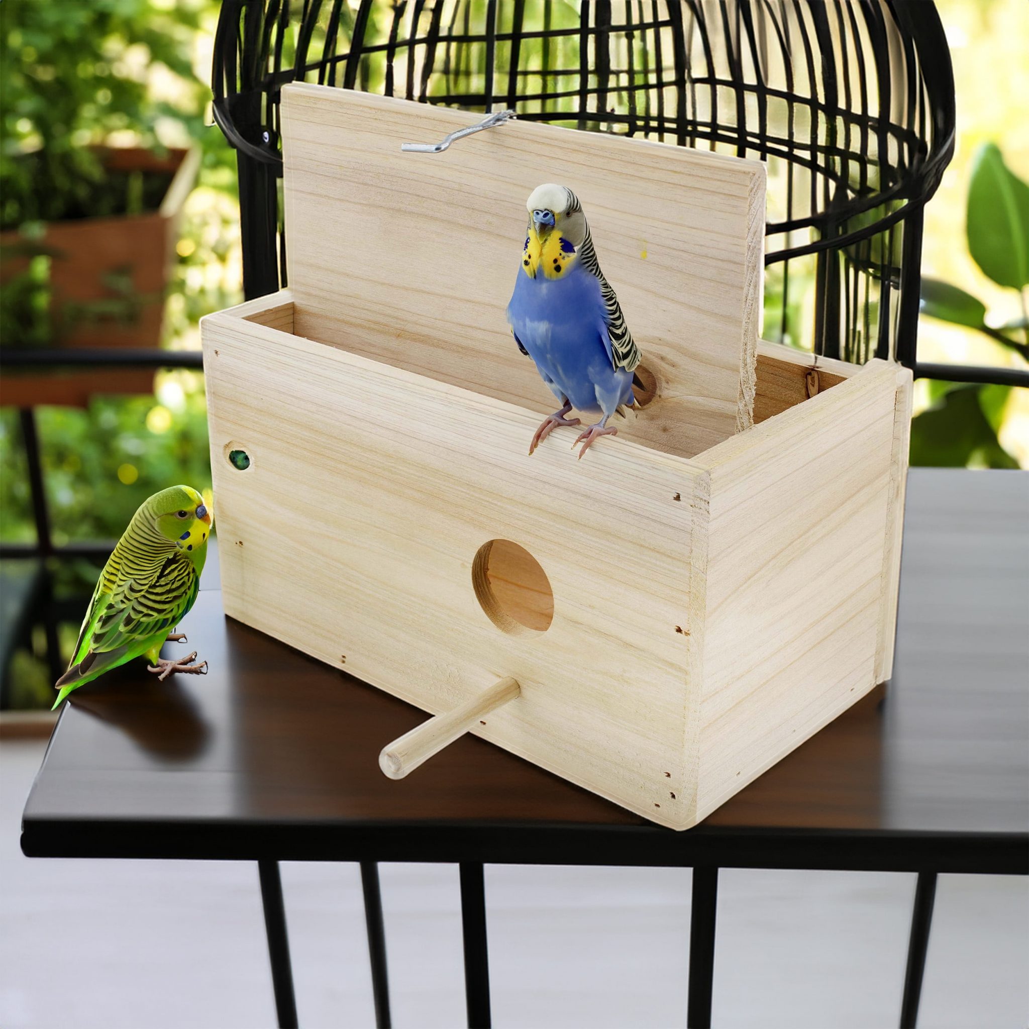 Bird Nesting Boxes: A Must-Have Addition to Any Bird Cage