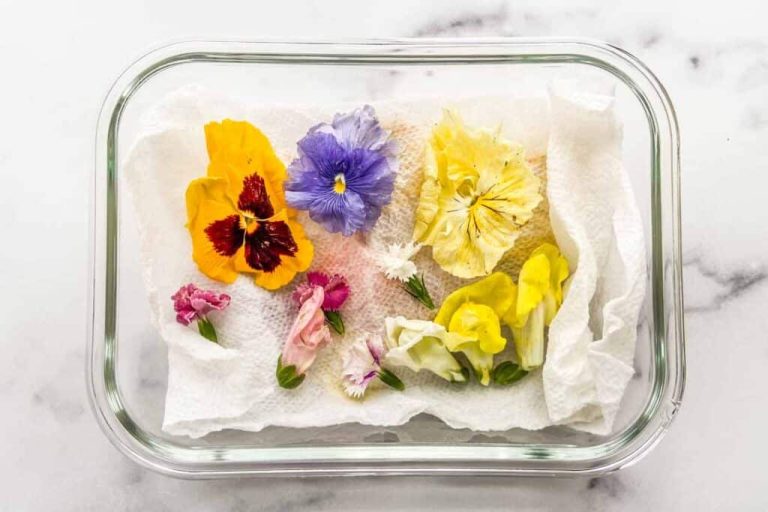 How Long Do Edible Flowers Last? A Guide to Storing These Delicate Beauties